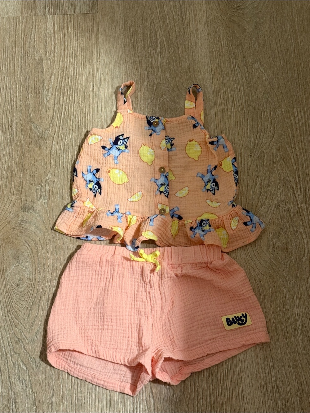 Disney Peach Lemon & Blue Puppy Two-Piece Set